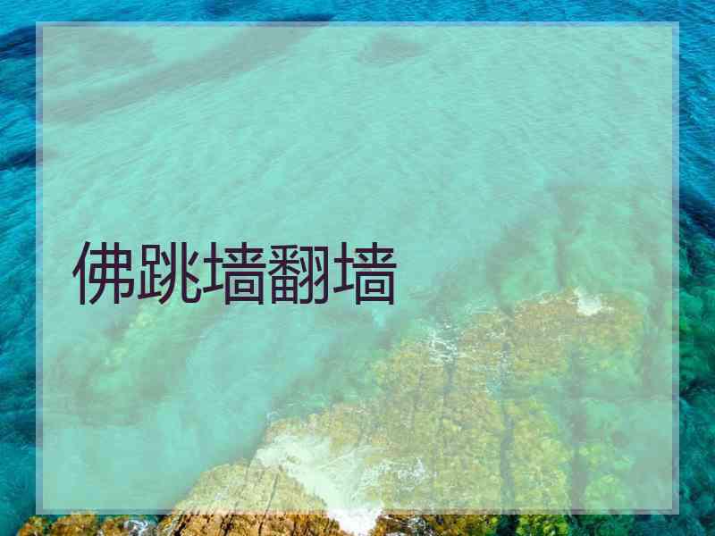 佛跳墙翻墙