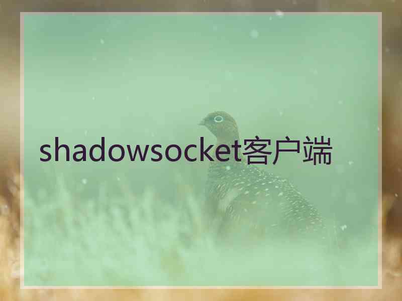 shadowsocket客户端