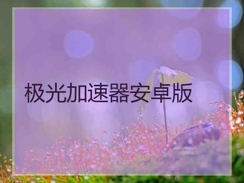 极光加速器安卓版