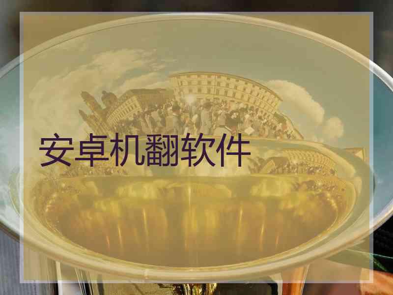 安卓机翻软件