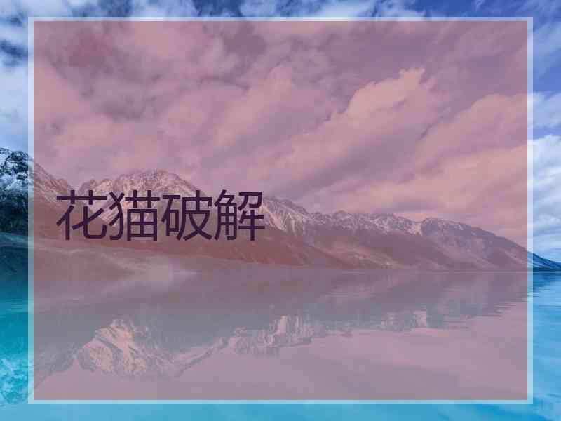 花猫破解