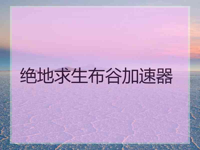绝地求生布谷加速器