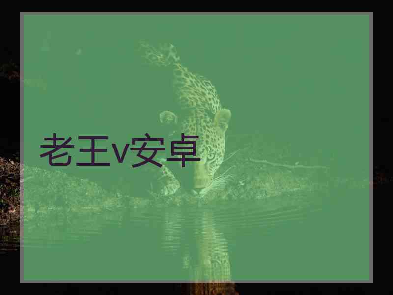老王v安卓