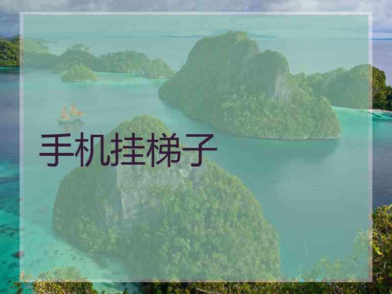 手机挂梯子