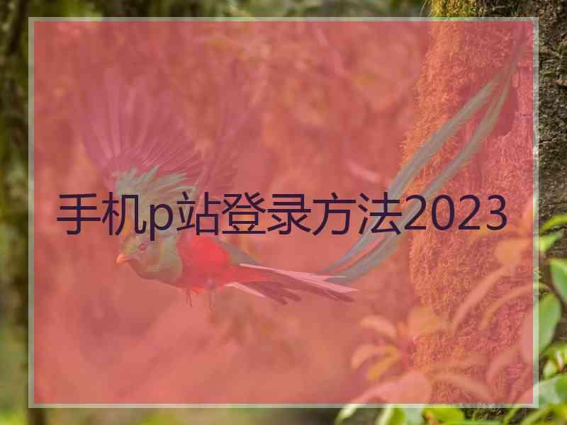 手机p站登录方法2023