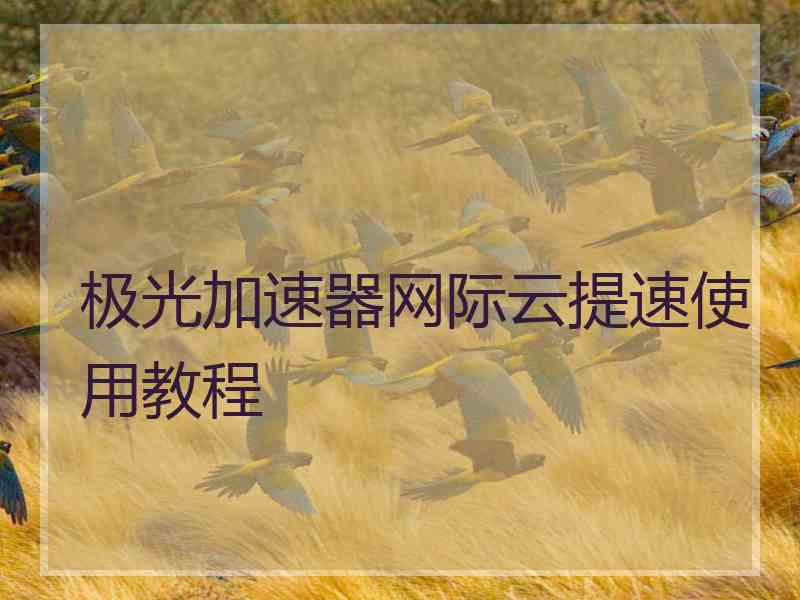 极光加速器网际云提速使用教程