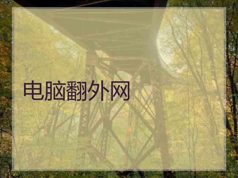 电脑翻外网