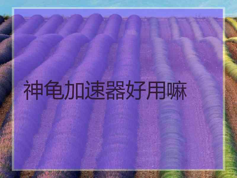 神龟加速器好用嘛