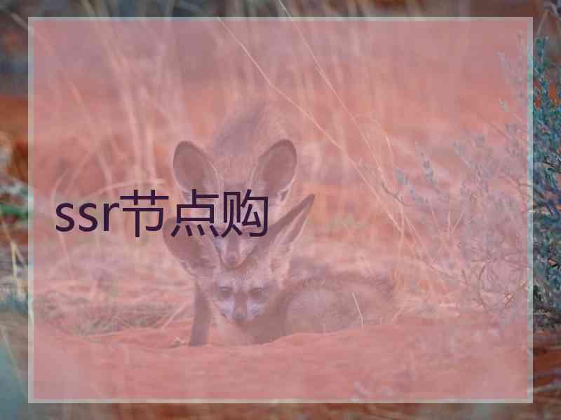 ssr节点购