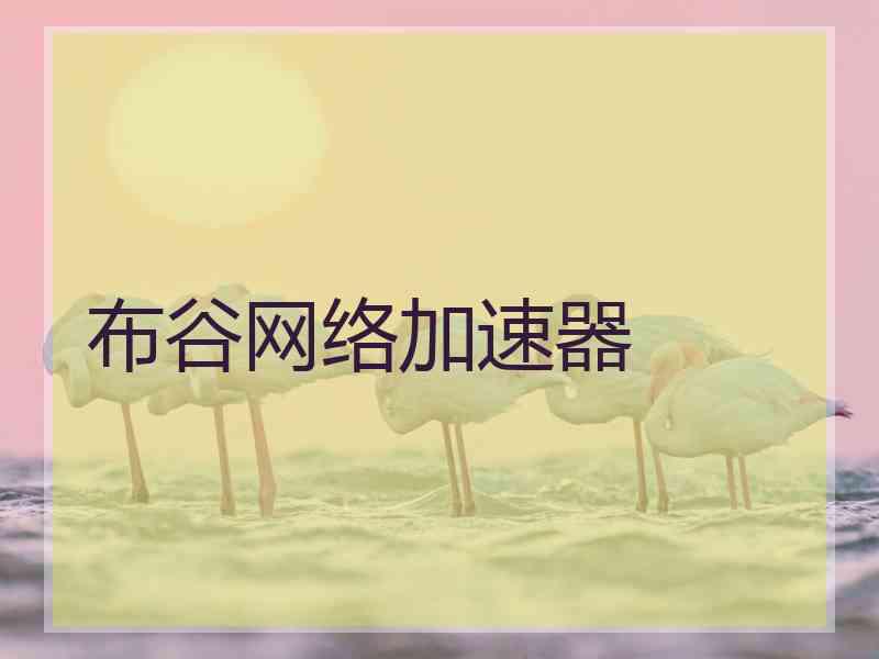 布谷网络加速器
