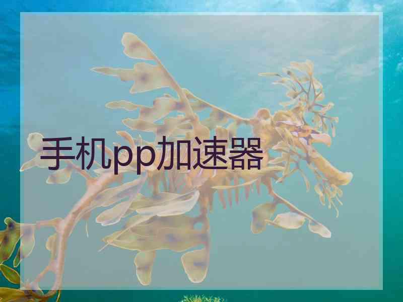 手机pp加速器