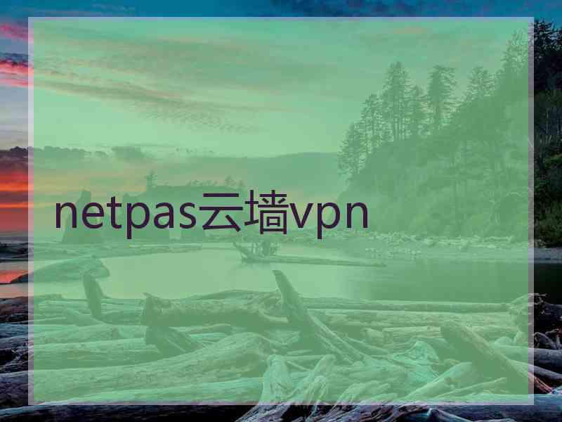 netpas云墙vpn
