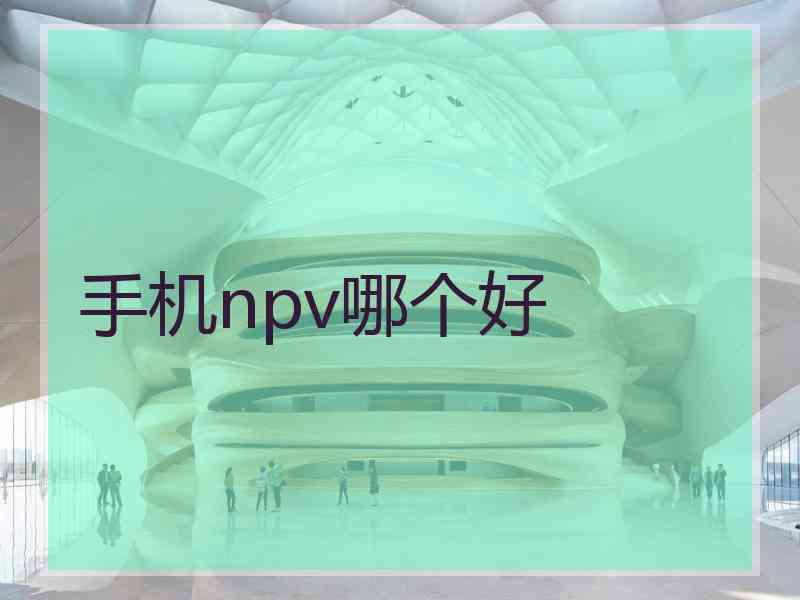 手机npv哪个好