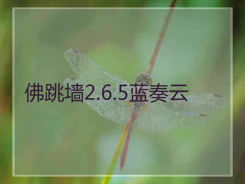 佛跳墙2.6.5蓝奏云