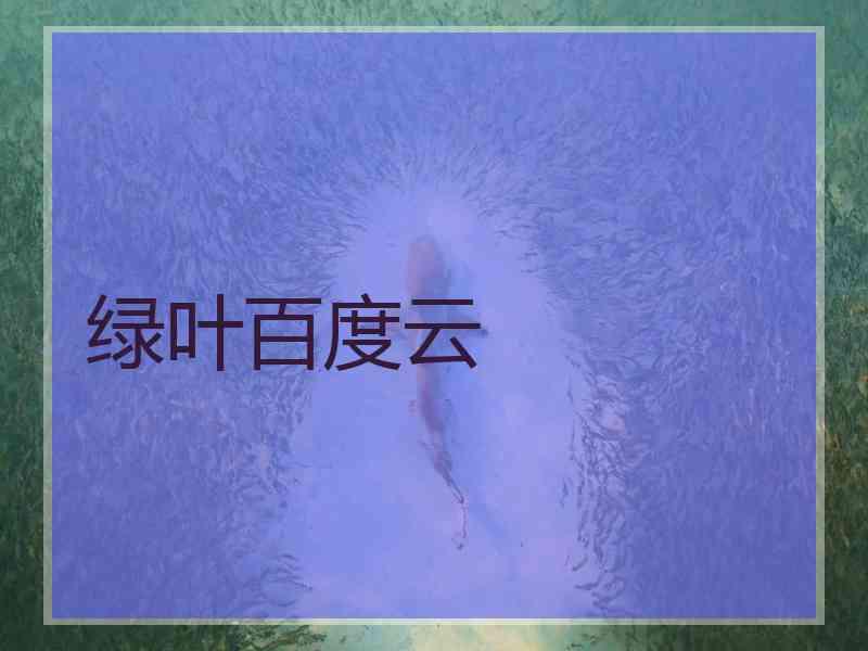 绿叶百度云