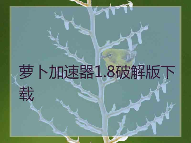 萝卜加速器1.8破解版下载