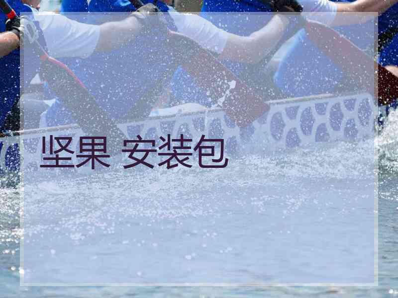坚果 安装包