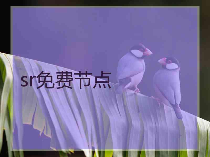 sr免费节点
