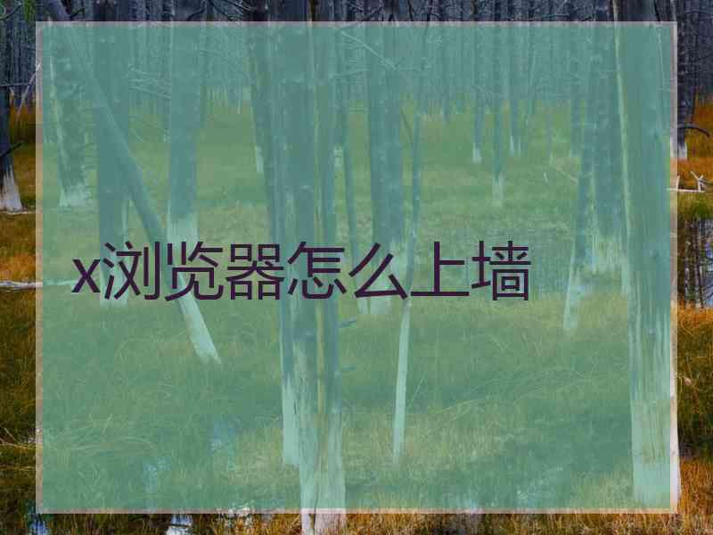 x浏览器怎么上墙