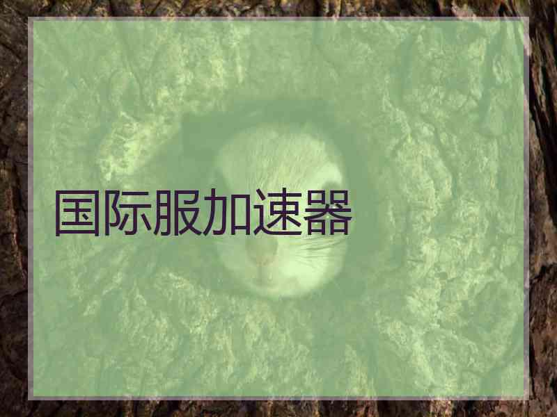 国际服加速器