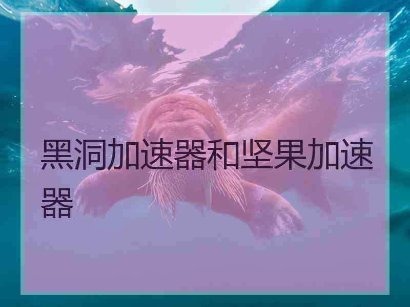 黑洞加速器和坚果加速器