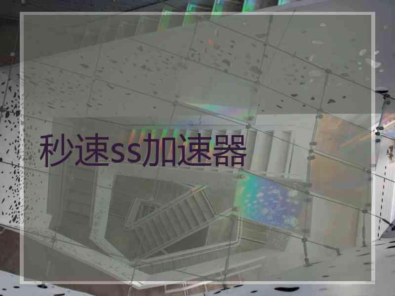 秒速ss加速器