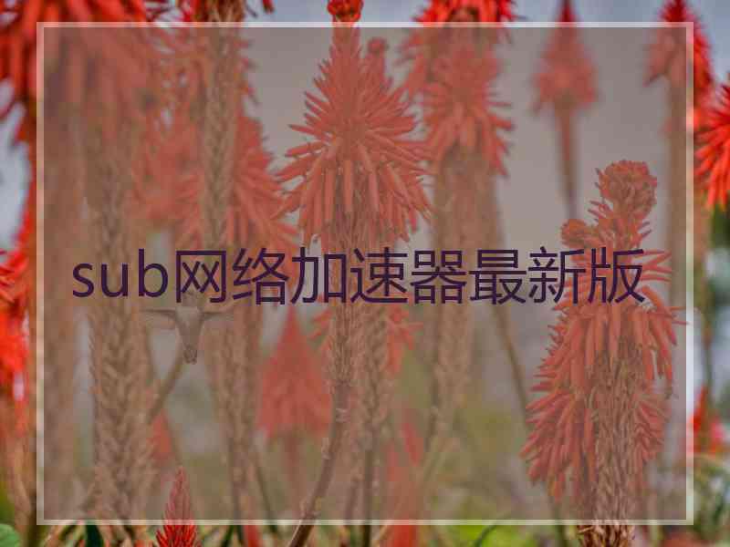 sub网络加速器最新版