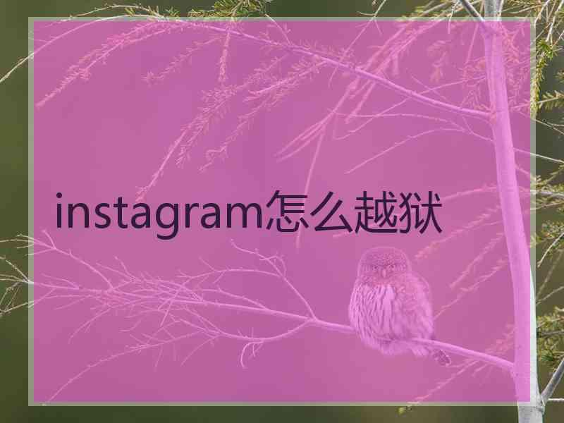 instagram怎么越狱