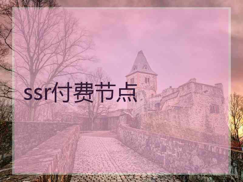 ssr付费节点