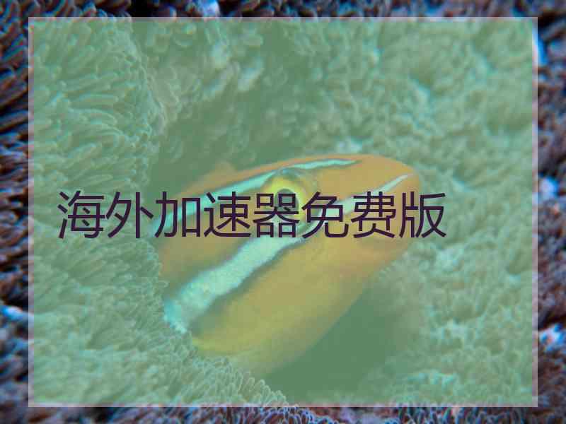 海外加速器免费版