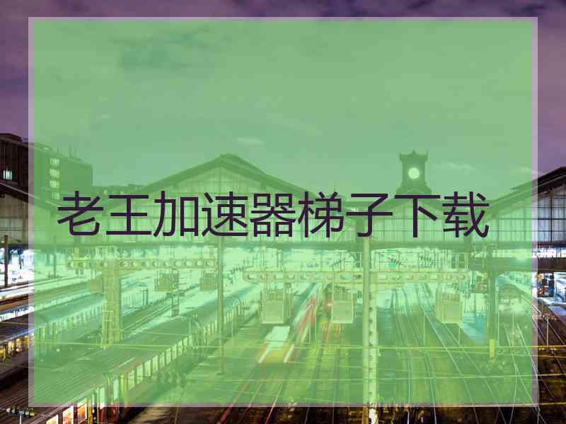 老王加速器梯子下载