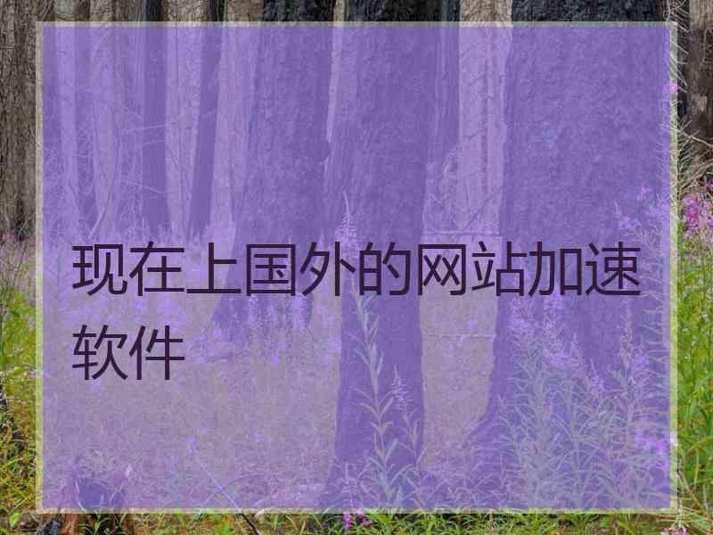 现在上国外的网站加速软件