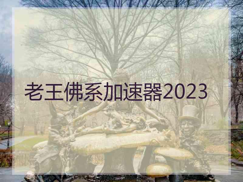 老王佛系加速器2023