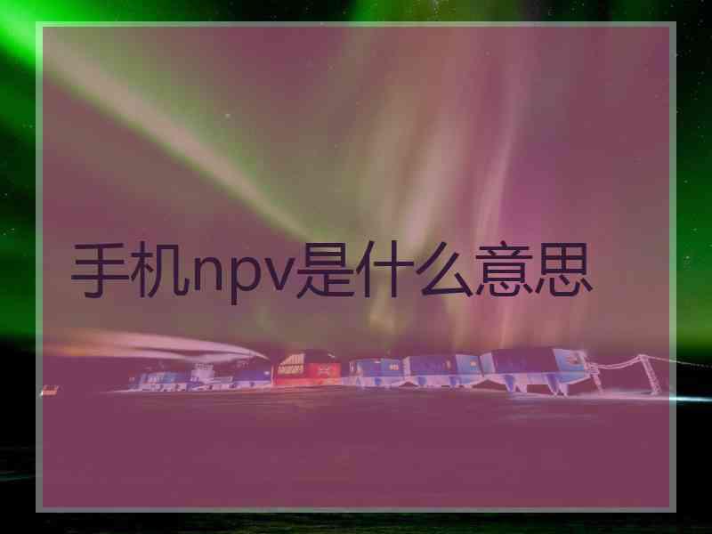 手机npv是什么意思