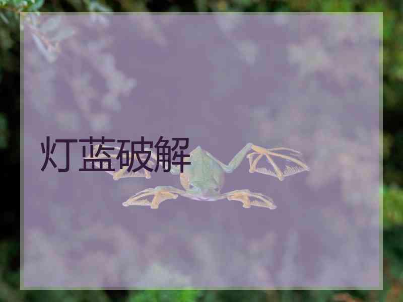 灯蓝破解