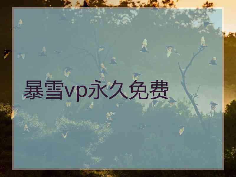 暴雪vp永久免费