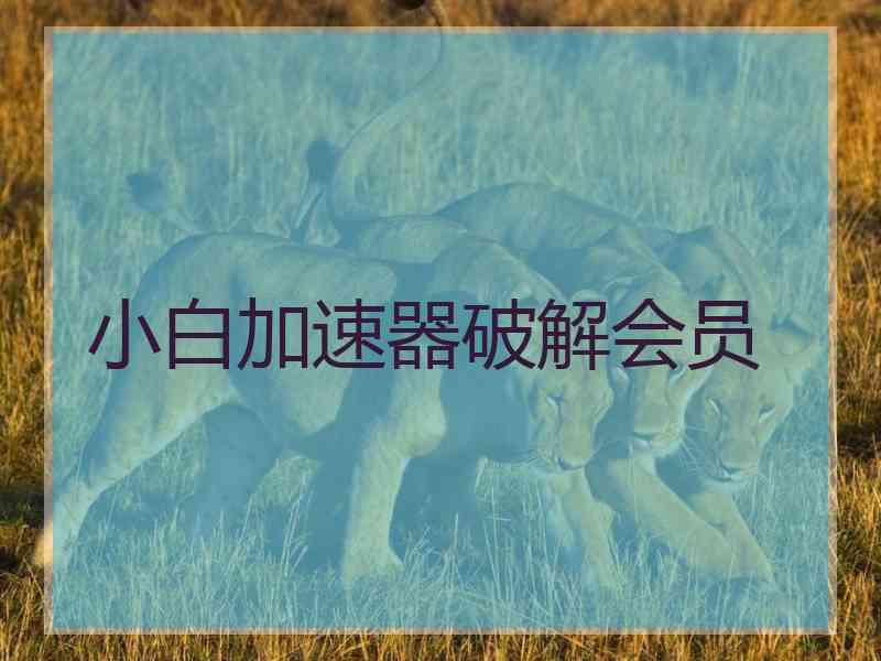 小白加速器破解会员