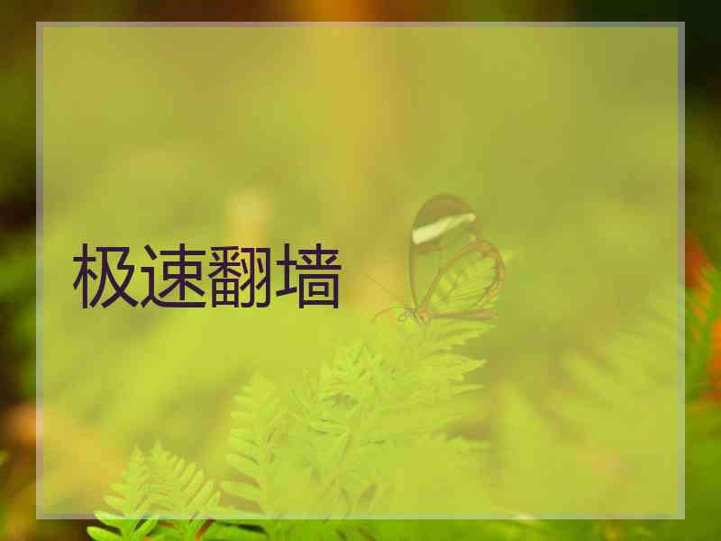 极速翻墙