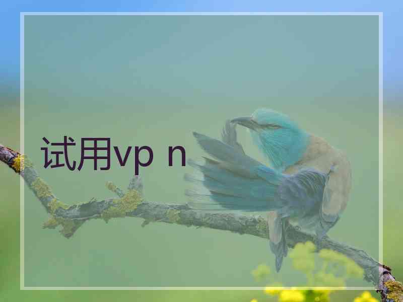 试用vp n