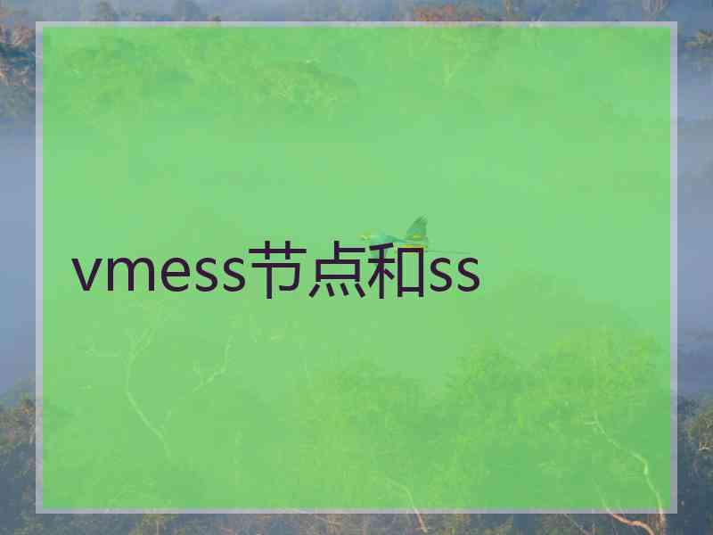 vmess节点和ss