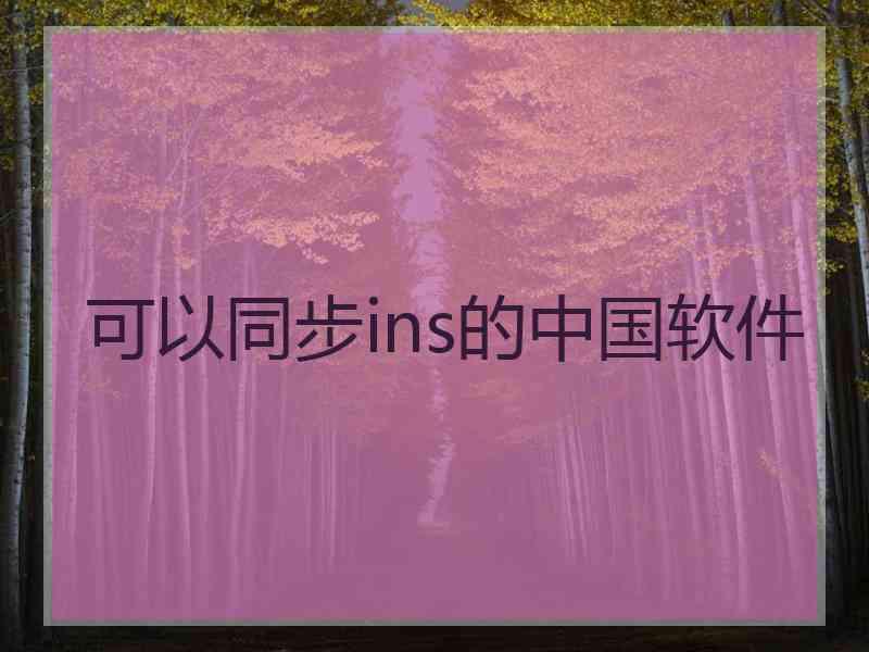 可以同步ins的中国软件