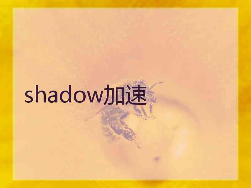 shadow加速