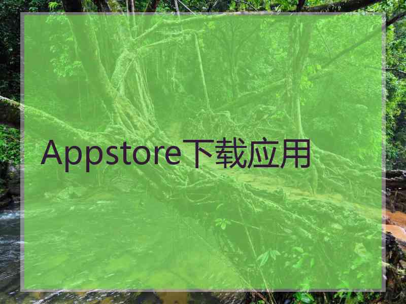 Appstore下载应用