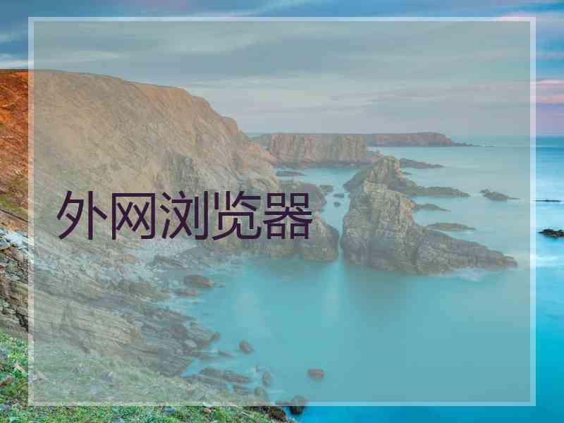 外网浏览器
