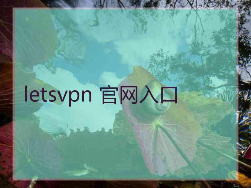 letsvpn 官网入口