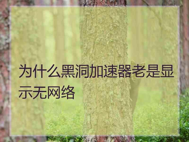 为什么黑洞加速器老是显示无网络