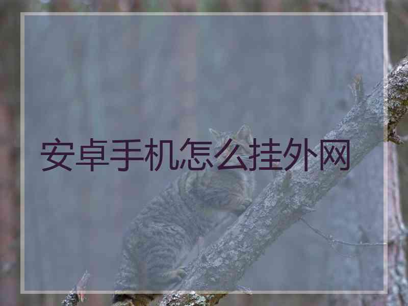 安卓手机怎么挂外网
