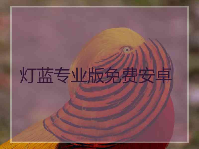 灯蓝专业版免费安卓