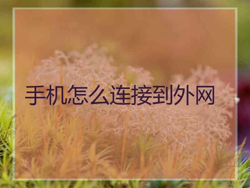 手机怎么连接到外网