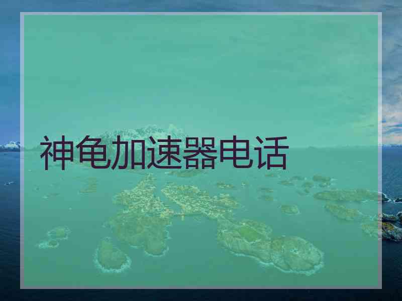 神龟加速器电话